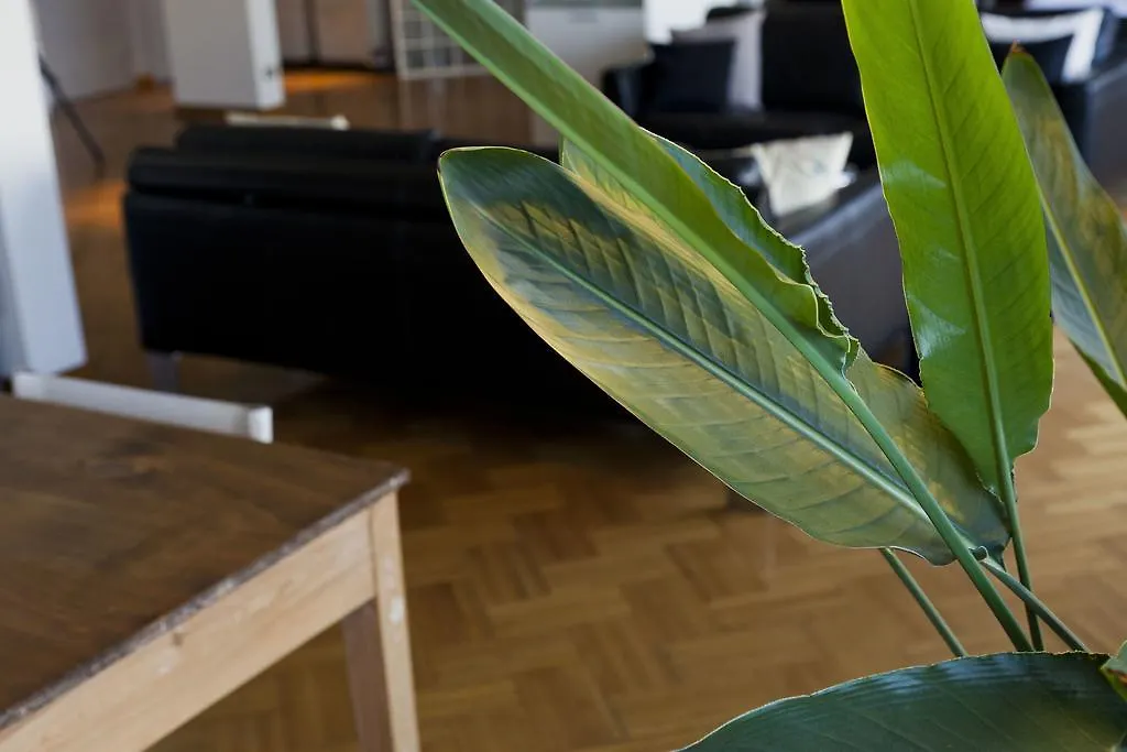Residentie Continental Apartment Antwerp